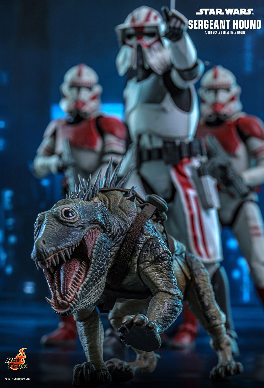 Hot Toys TMS167 - Star Wars : The Clone Wars - Sergeant Hound【Pre-Order】