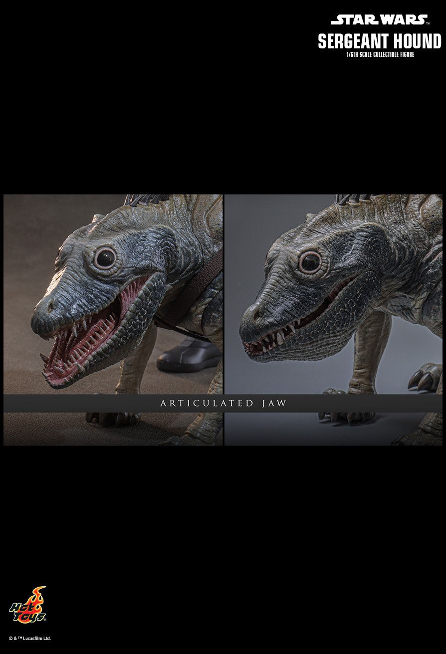 Hot Toys TMS167 - Star Wars : The Clone Wars - Sergeant Hound【Pre-Order】