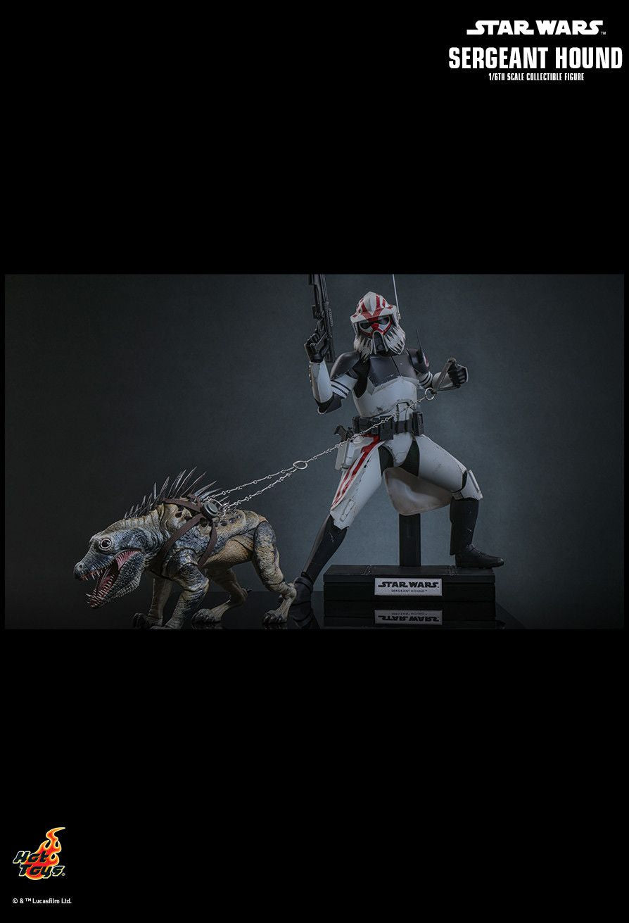 Hot Toys TMS167 - Star Wars : The Clone Wars - Sergeant Hound【Pre-Order】