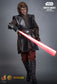Hot Toys DX49 - Star Wars III : Revenge Of The Sith - Darth Vader Mustafar Artisan Edition【Pre-Order】