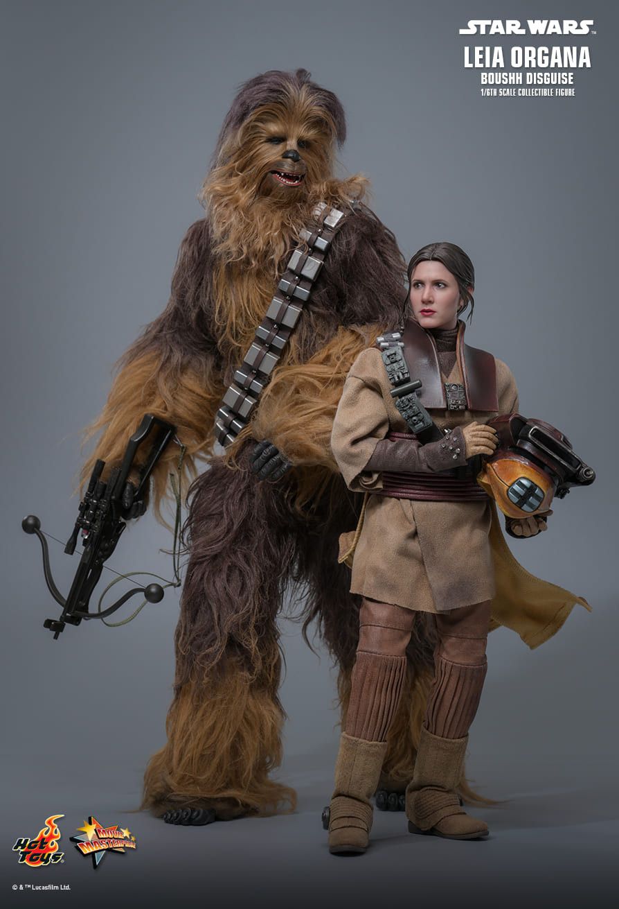 Hot Toys MMS854 - Star Wars : Return Of The Jedi - Leia Organa Boushh Disguise【Pre-Order】