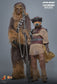 Hot Toys MMS854 - Star Wars : Return Of The Jedi - Leia Organa Boushh Disguise【Pre-Order】