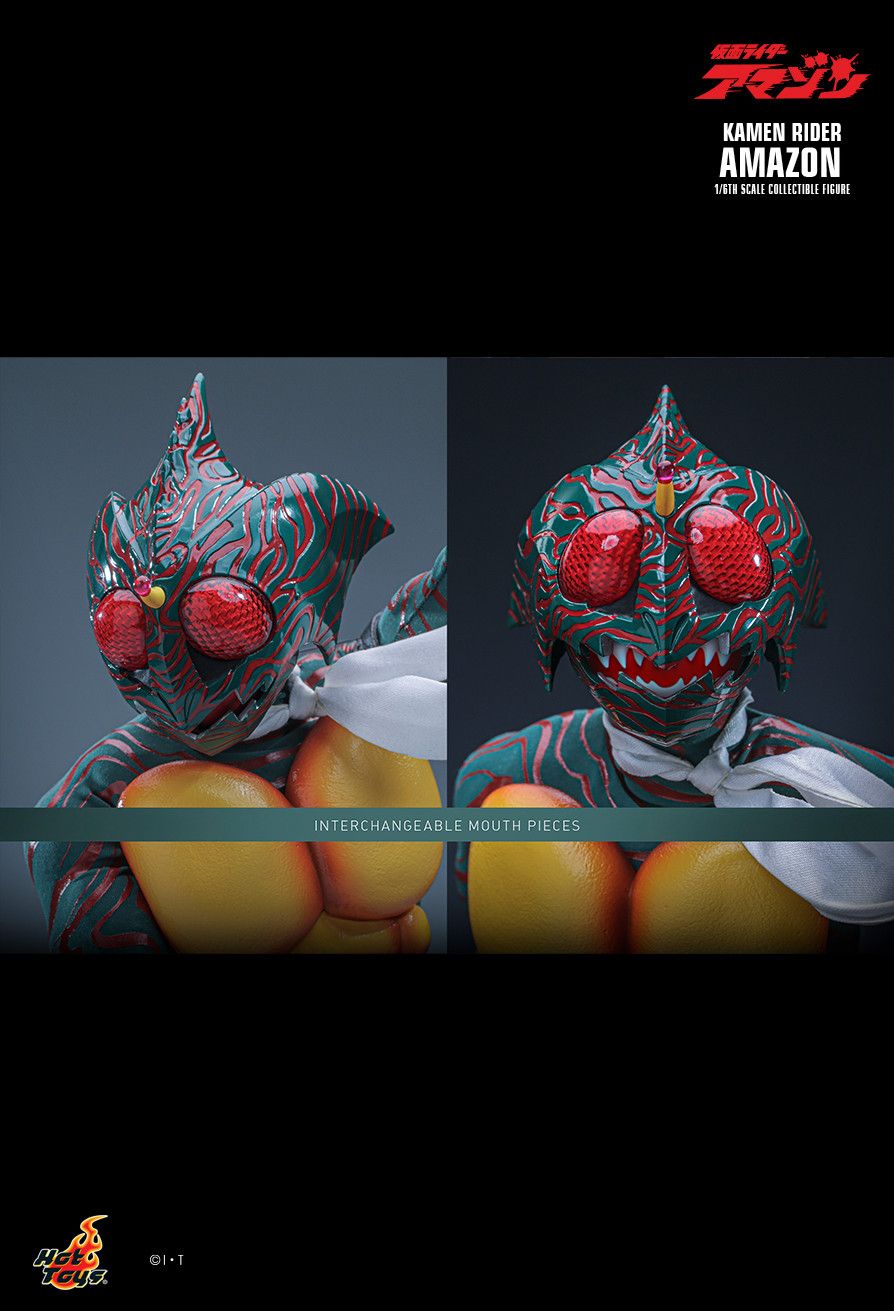 Hot Toys TMS184 - Kamen Rider - Kamen Rider Amazon【Pre-Order】