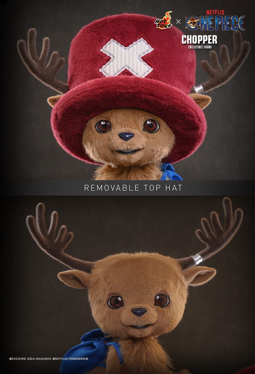 Hot Toys TMS174 - One Piece - Chopper【Pre-Order】