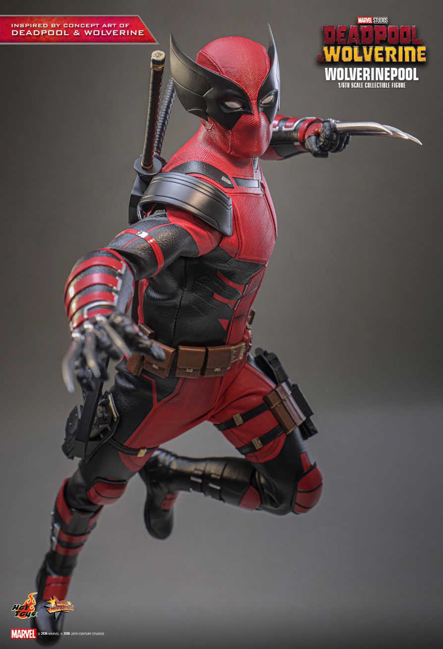 Hot Toys MMS857 - Marvel Comics - Deadpool & Wolverine - Wolverinepool【Pre-Order】