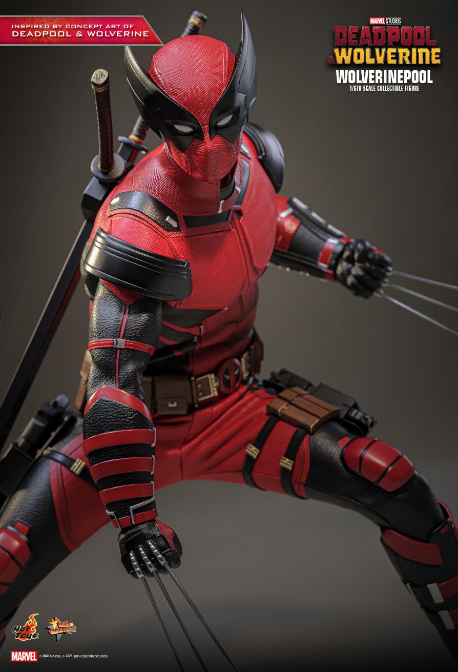Hot Toys MMS857 - Marvel Comics - Deadpool & Wolverine - Wolverinepool【Pre-Order】