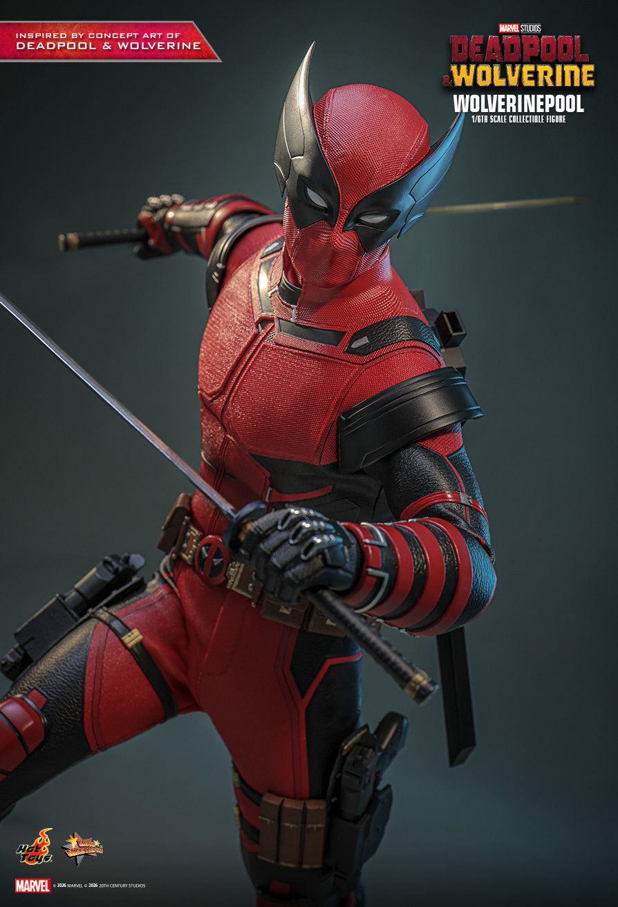 Hot Toys MMS857 - Marvel Comics - Deadpool & Wolverine - Wolverinepool【Pre-Order】