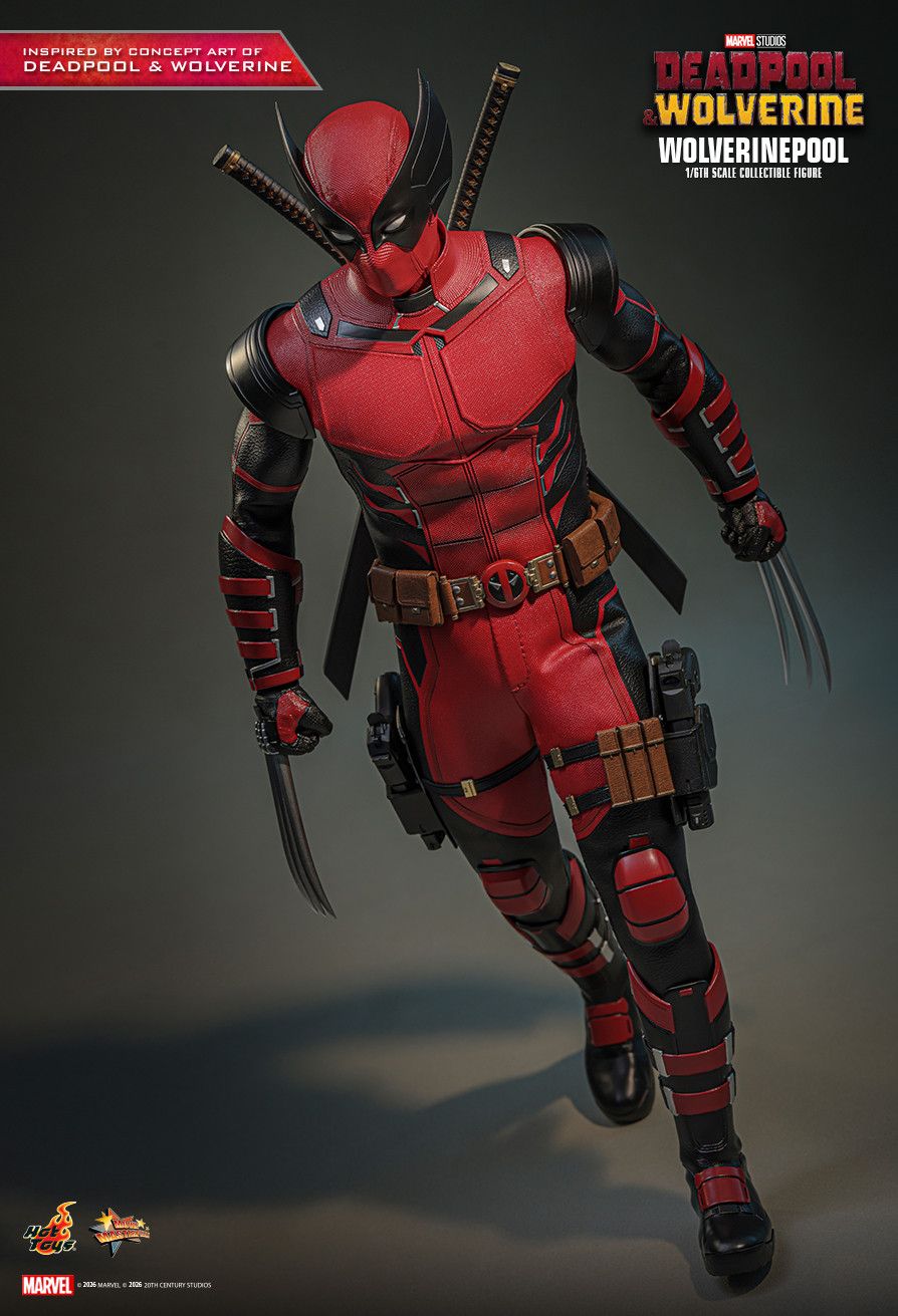 Hot Toys MMS857 - Marvel Comics - Deadpool & Wolverine - Wolverinepool【Pre-Order】