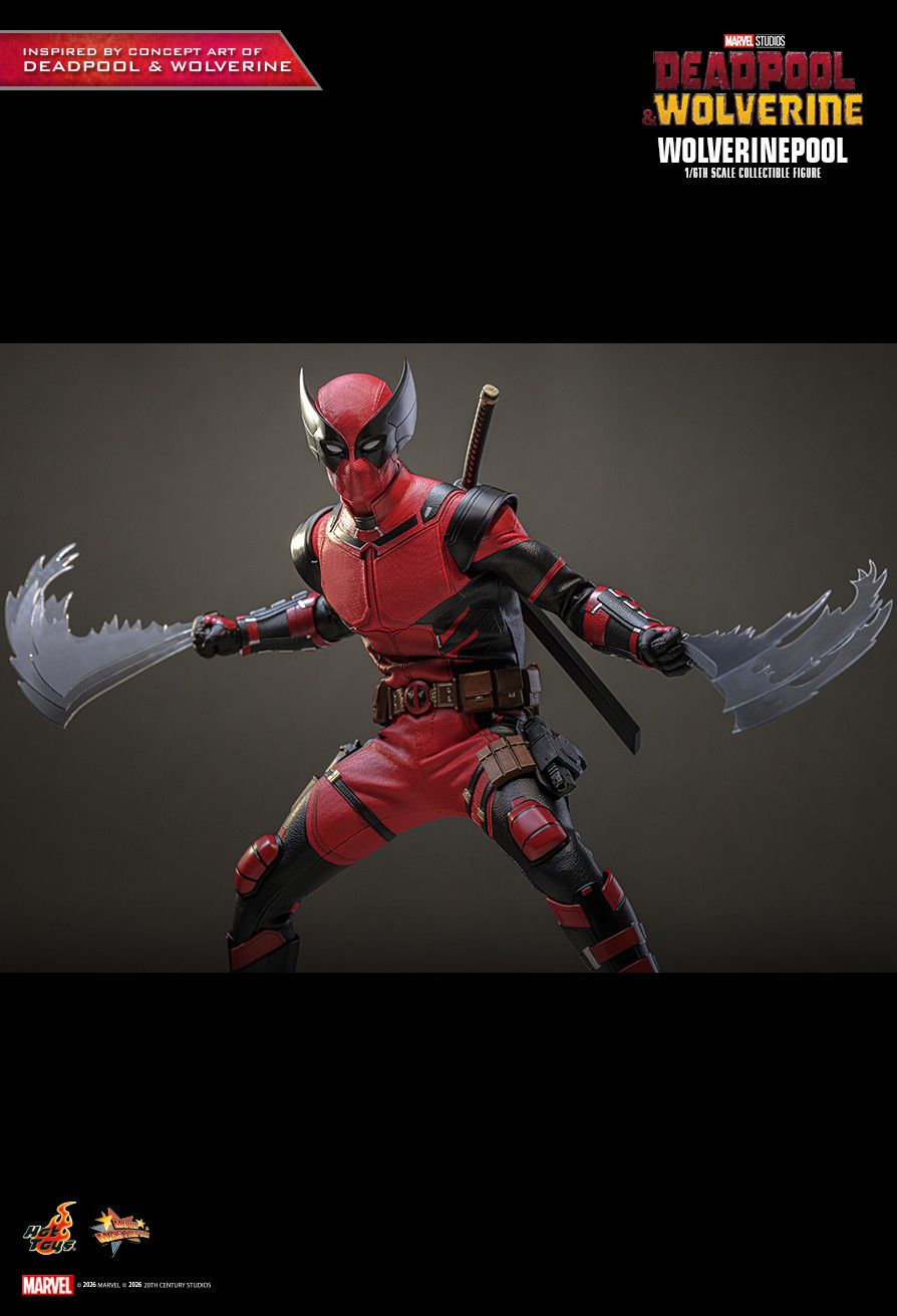 Hot Toys MMS857 - Marvel Comics - Deadpool & Wolverine - Wolverinepool【Pre-Order】