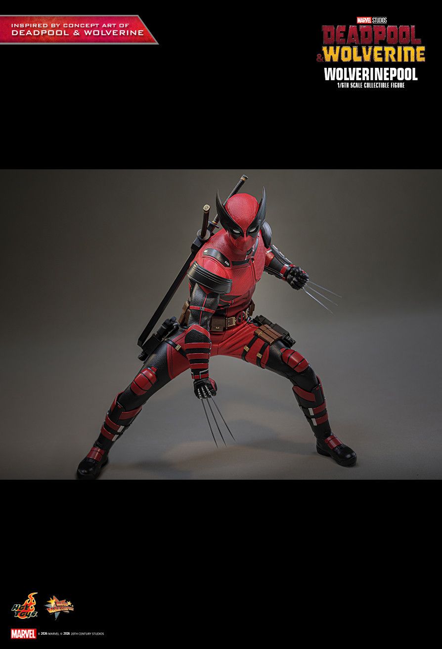 Hot Toys MMS857 - Marvel Comics - Deadpool & Wolverine - Wolverinepool【Pre-Order】