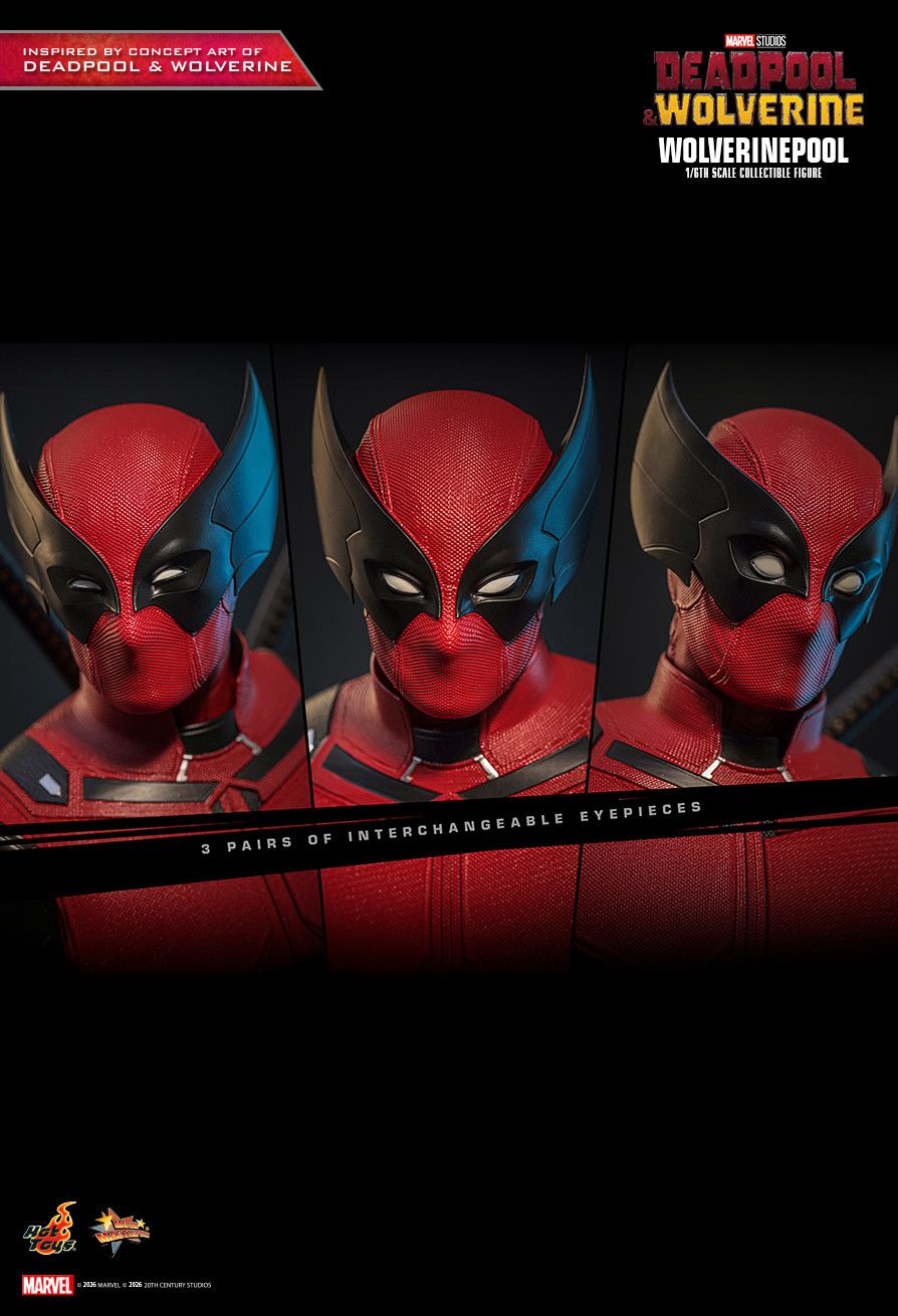 Hot Toys MMS857 - Marvel Comics - Deadpool & Wolverine - Wolverinepool【Pre-Order】