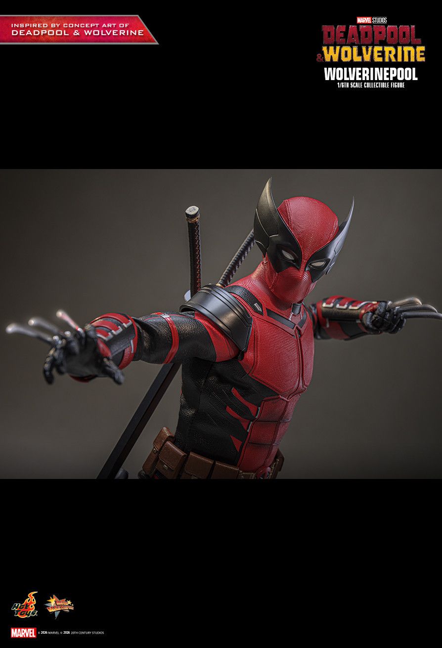 Hot Toys MMS857 - Marvel Comics - Deadpool & Wolverine - Wolverinepool【Pre-Order】