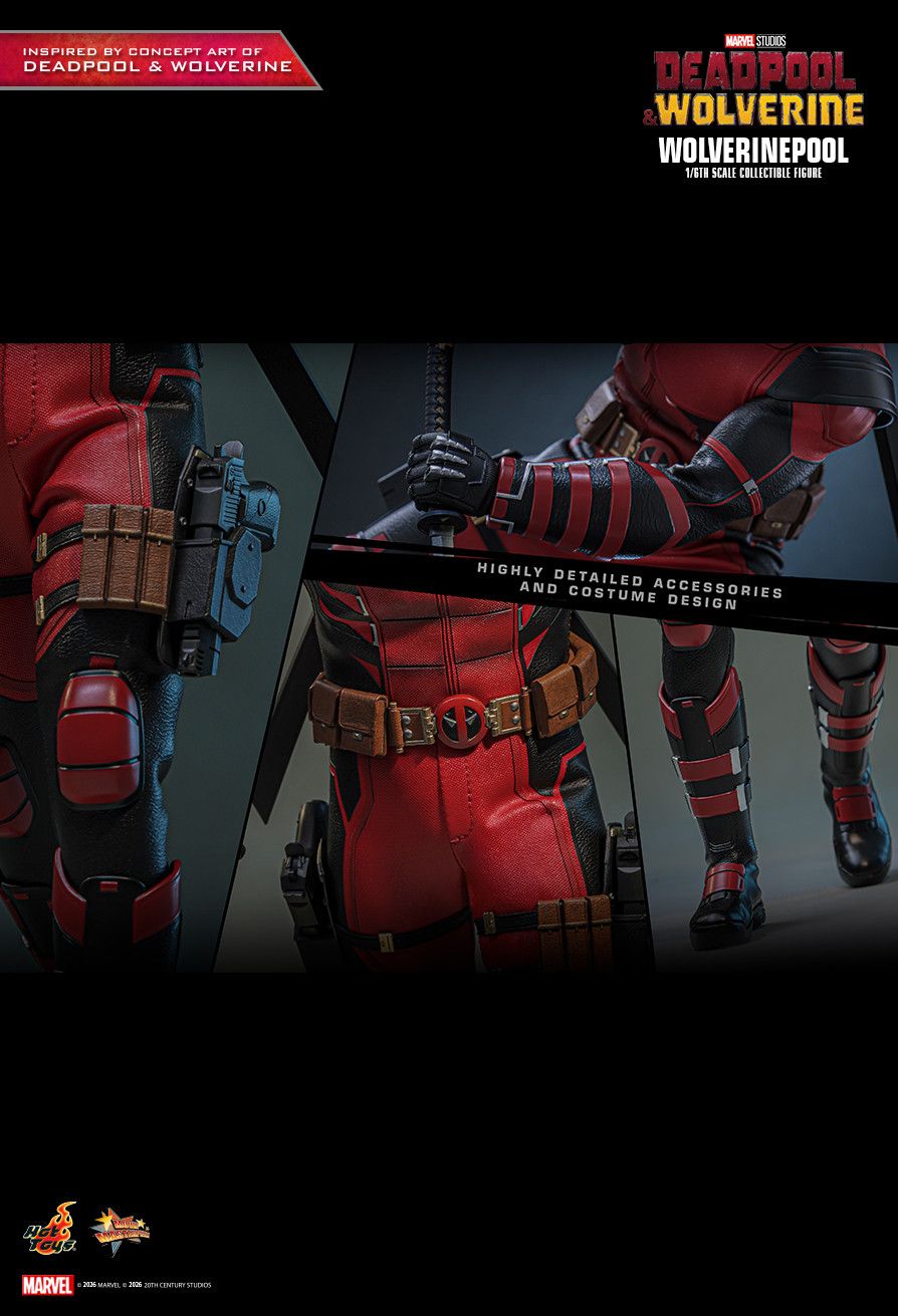 Hot Toys MMS857 - Marvel Comics - Deadpool & Wolverine - Wolverinepool【Pre-Order】