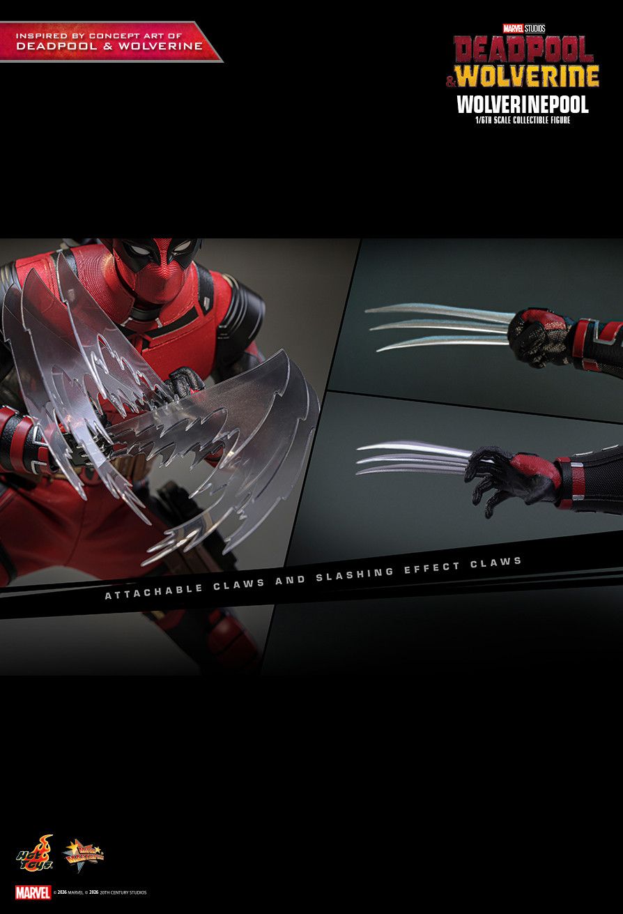 Hot Toys MMS857 - Marvel Comics - Deadpool & Wolverine - Wolverinepool【Pre-Order】