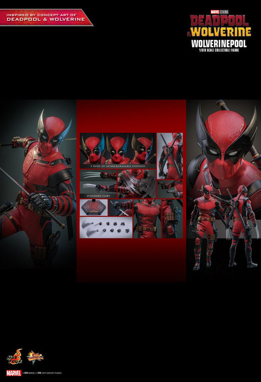Hot Toys MMS857 - Marvel Comics - Deadpool & Wolverine - Wolverinepool【Pre-Order】