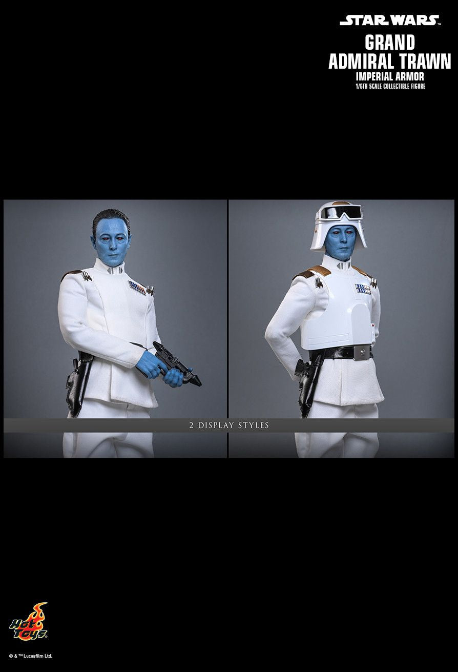Hot Toys TMS169 - Star Wars : Rebels - Grand Admiral Thrawn Imperial Armor【Pre-Order】