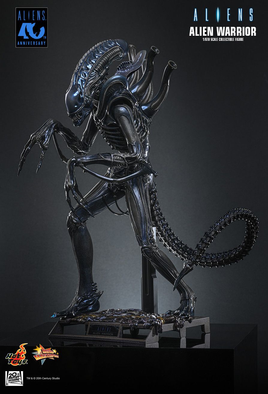 Hot Toys MMS898 - Aliens - Alien Warrior【Pre-Order】