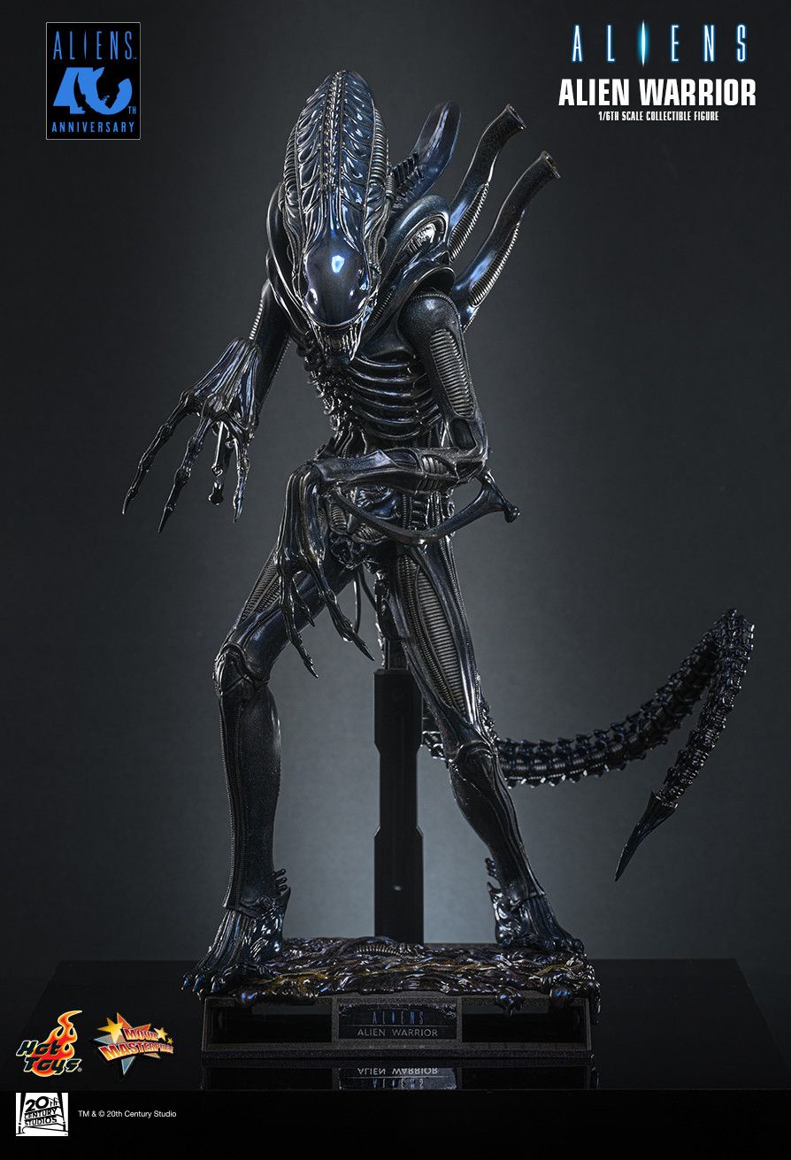 Hot Toys MMS898 - Aliens - Alien Warrior【Pre-Order】