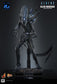 Hot Toys MMS898 - Aliens - Alien Warrior【Pre-Order】