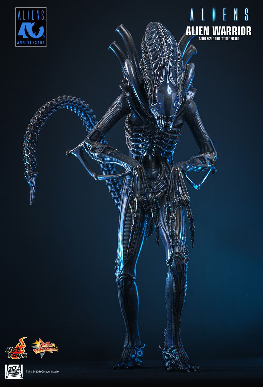 Hot Toys MMS898 - Aliens - Alien Warrior【Pre-Order】
