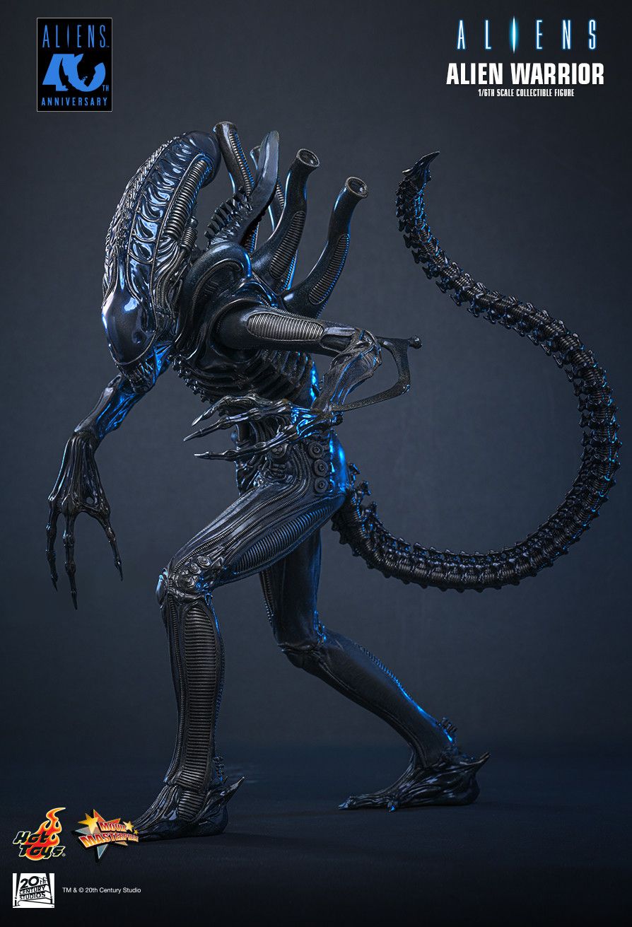 Hot Toys MMS898 - Aliens - Alien Warrior【Pre-Order】