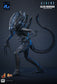 Hot Toys MMS898 - Aliens - Alien Warrior【Pre-Order】