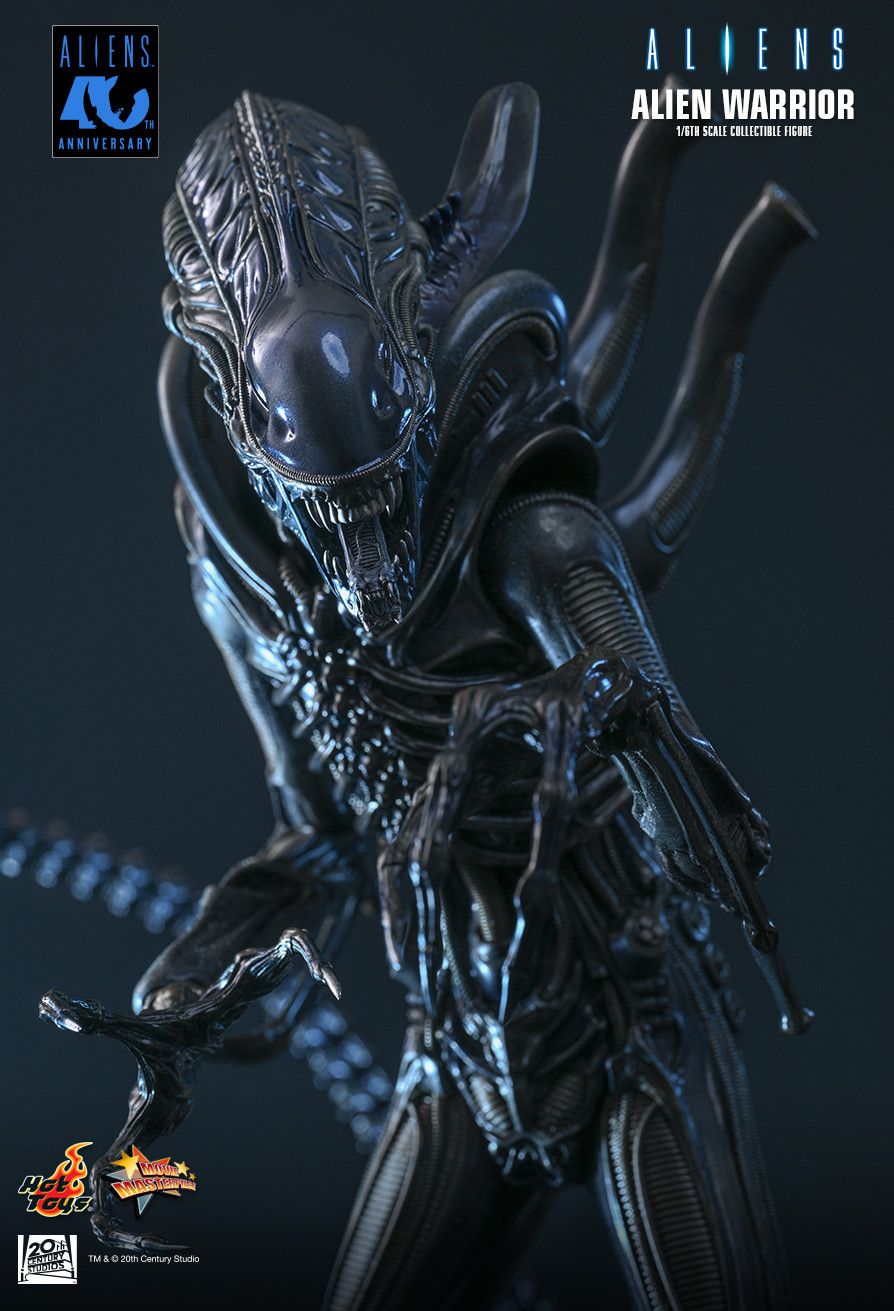 Hot Toys MMS898 - Aliens - Alien Warrior【Pre-Order】