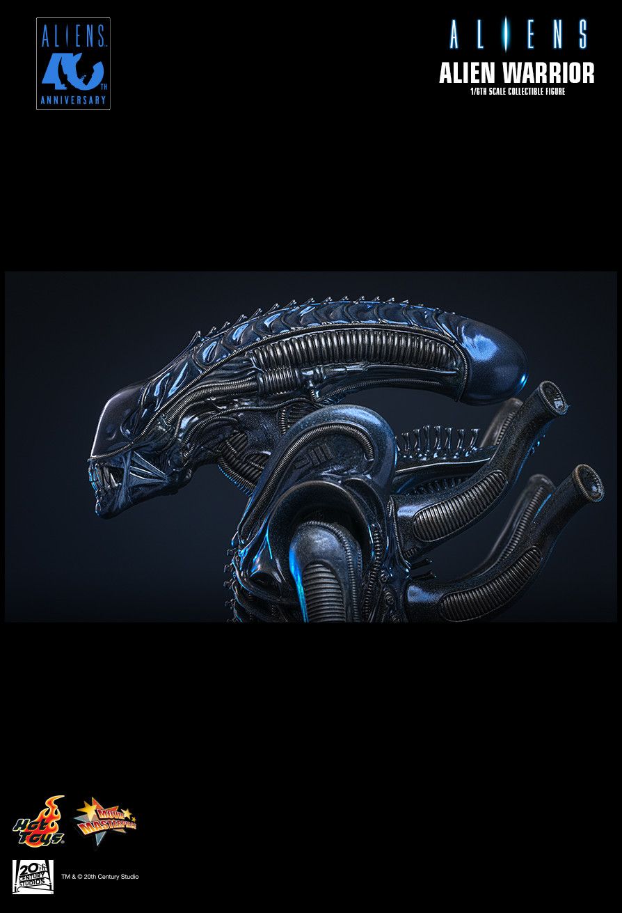 Hot Toys MMS898 - Aliens - Alien Warrior【Pre-Order】