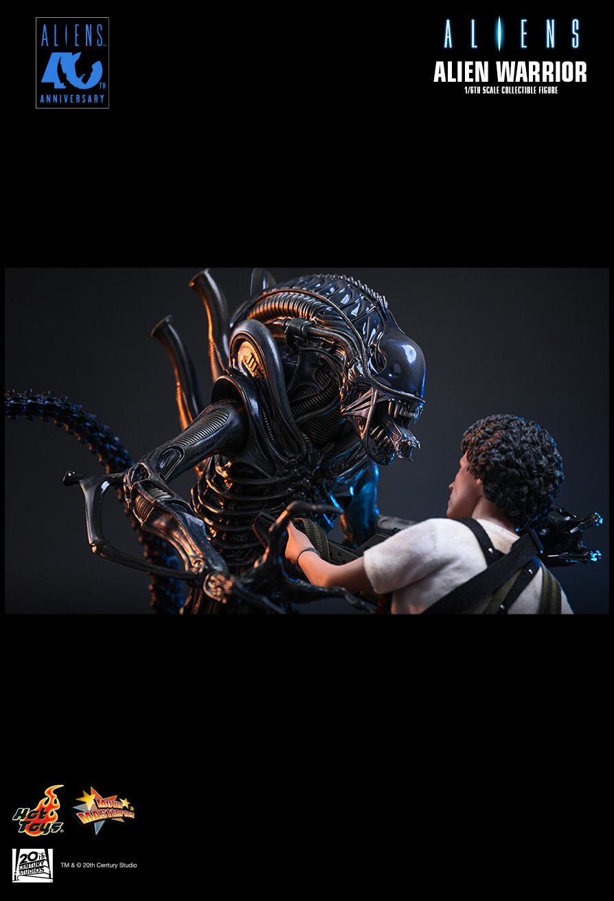 Hot Toys MMS898 - Aliens - Alien Warrior【Pre-Order】
