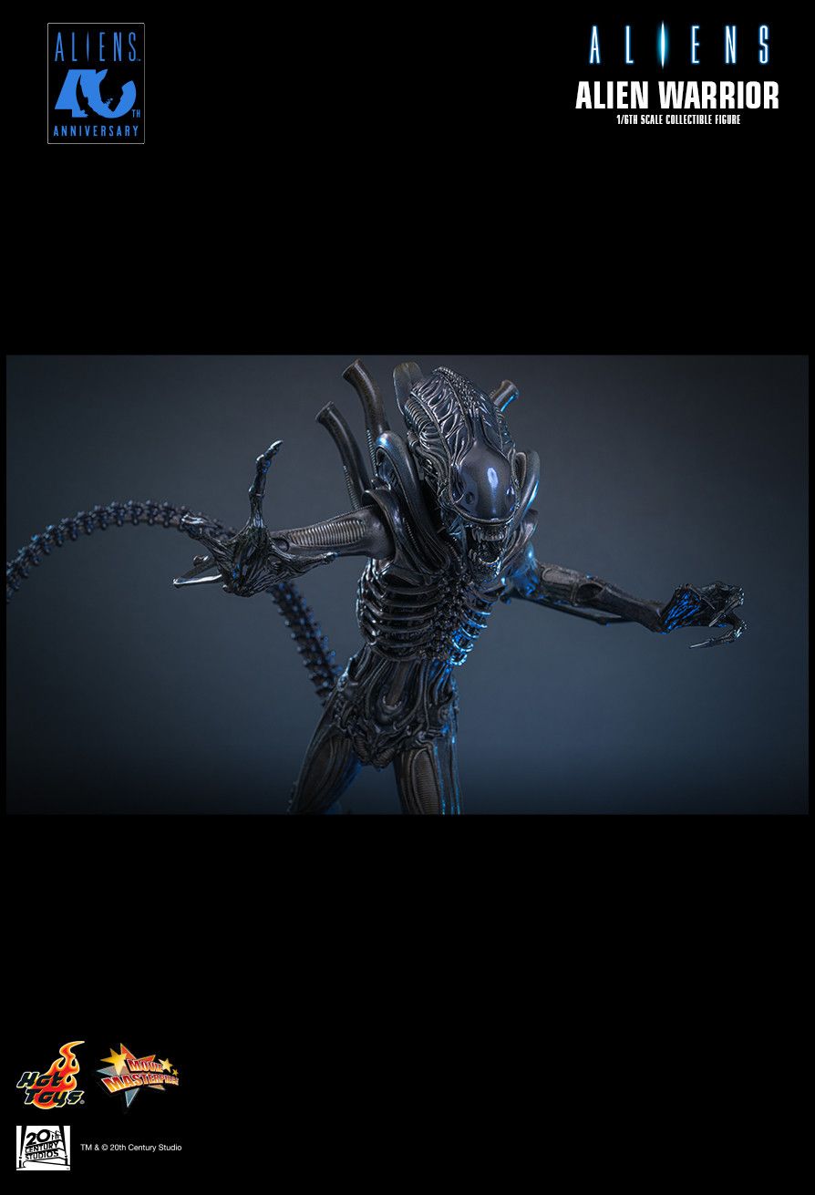 Hot Toys MMS898 - Aliens - Alien Warrior【Pre-Order】