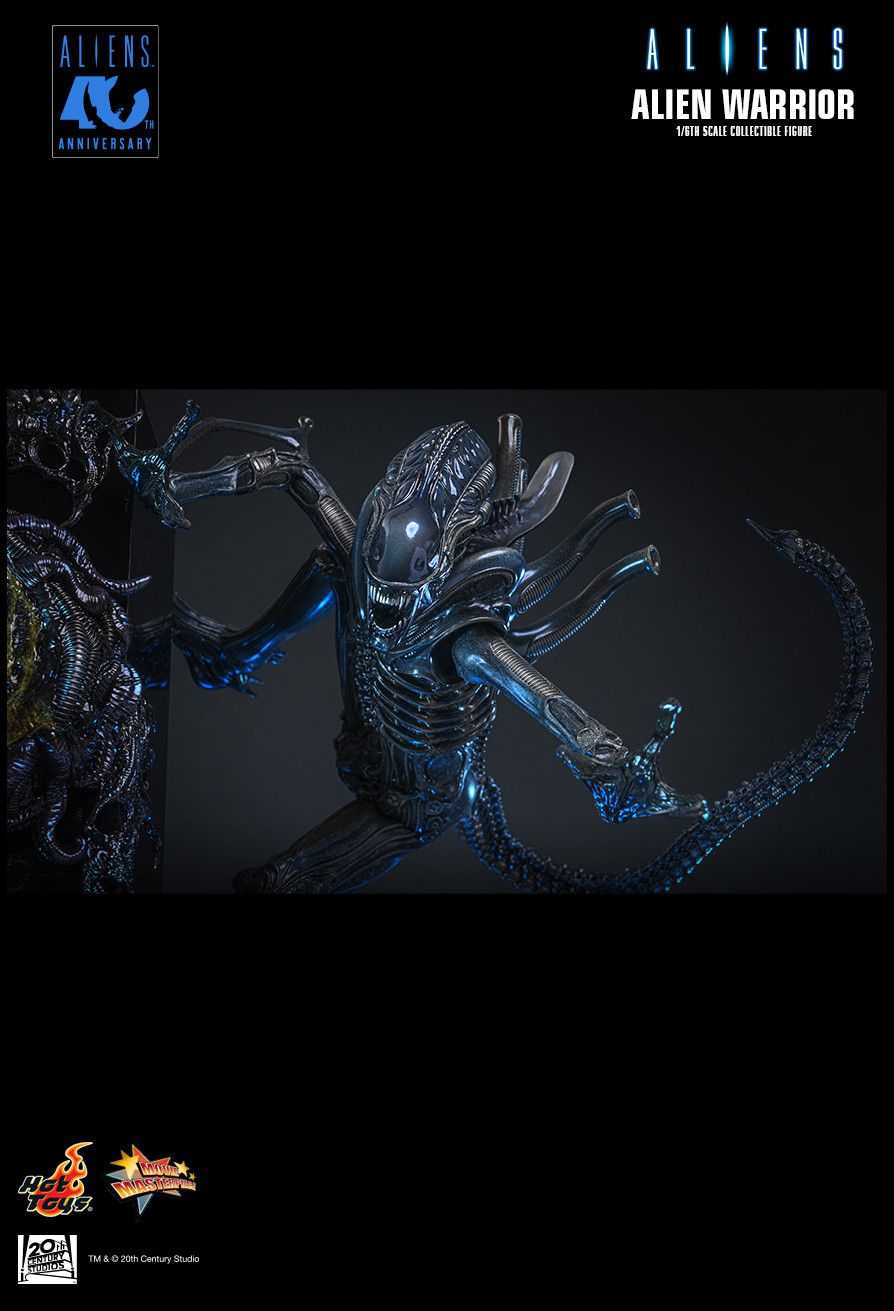 Hot Toys MMS898 - Aliens - Alien Warrior【Pre-Order】