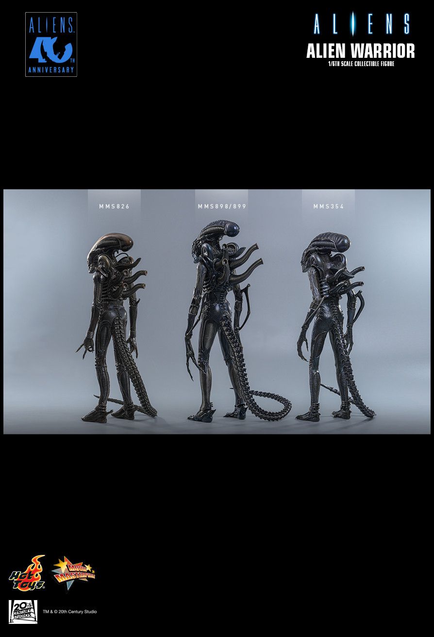 Hot Toys MMS898 - Aliens - Alien Warrior【Pre-Order】