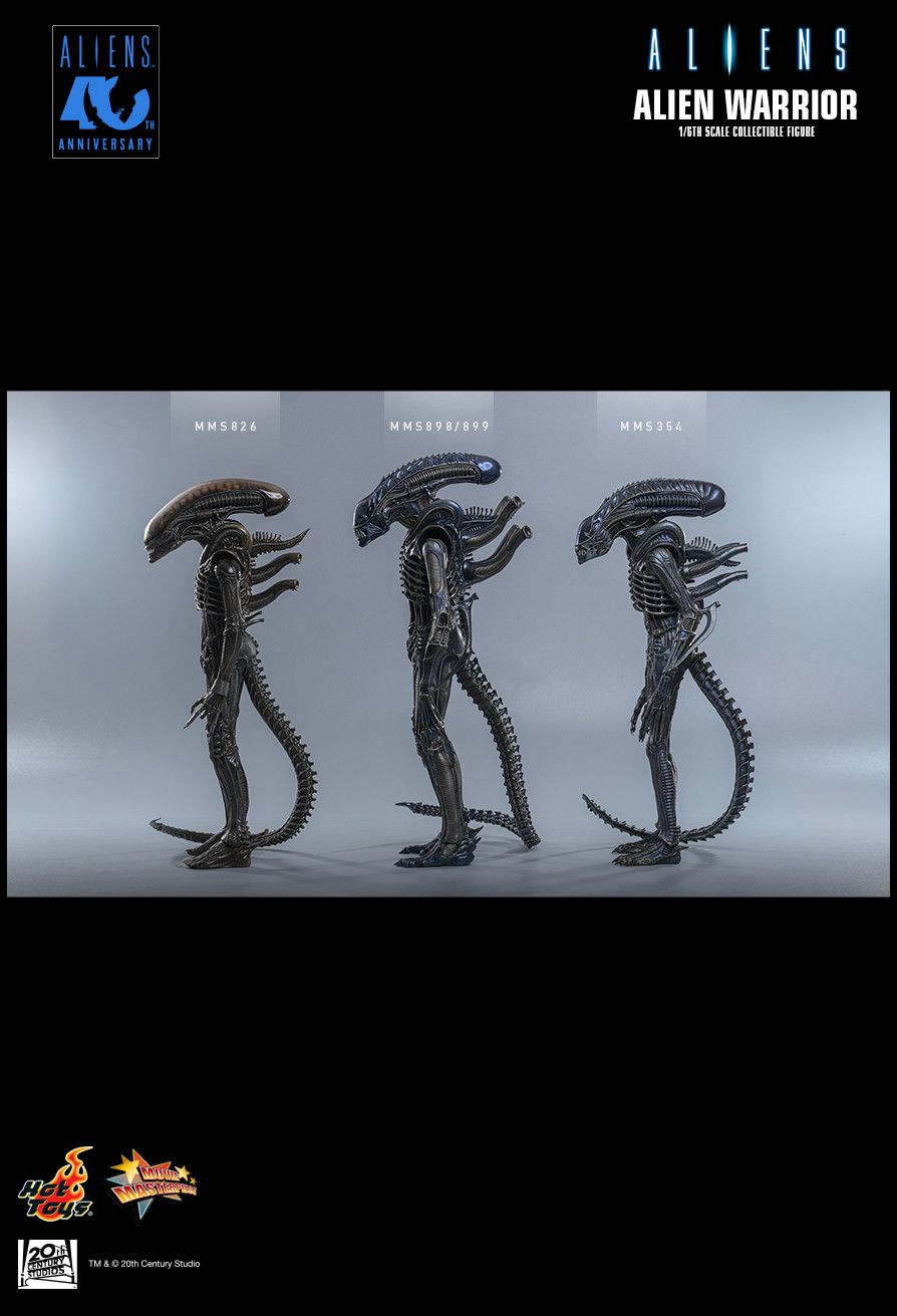 Hot Toys MMS898 - Aliens - Alien Warrior【Pre-Order】