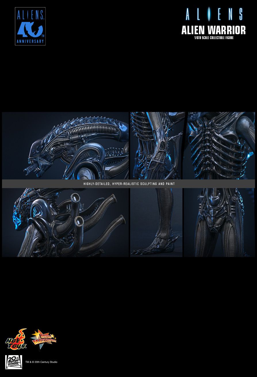 Hot Toys MMS898 - Aliens - Alien Warrior【Pre-Order】