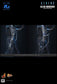 Hot Toys MMS898 - Aliens - Alien Warrior【Pre-Order】