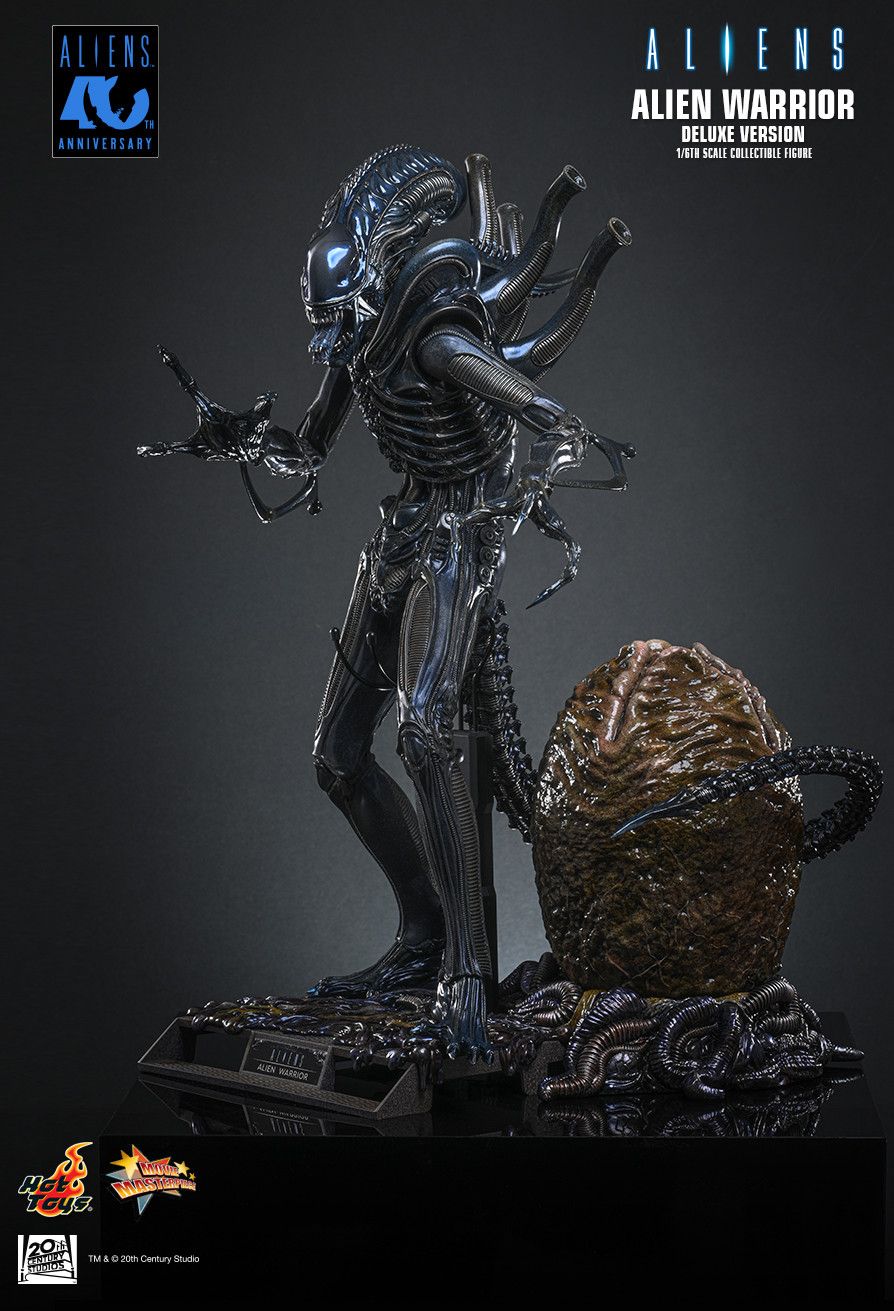 Hot Toys MMS899 - Aliens - Alien Warrior【Pre-Order】