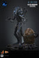 Hot Toys MMS899 - Aliens - Alien Warrior【Pre-Order】