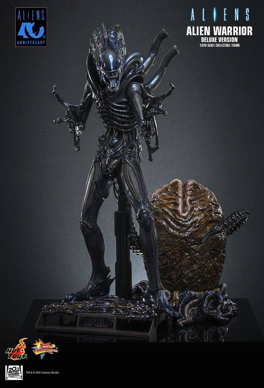 Hot Toys MMS899 - Aliens - Alien Warrior【Pre-Order】