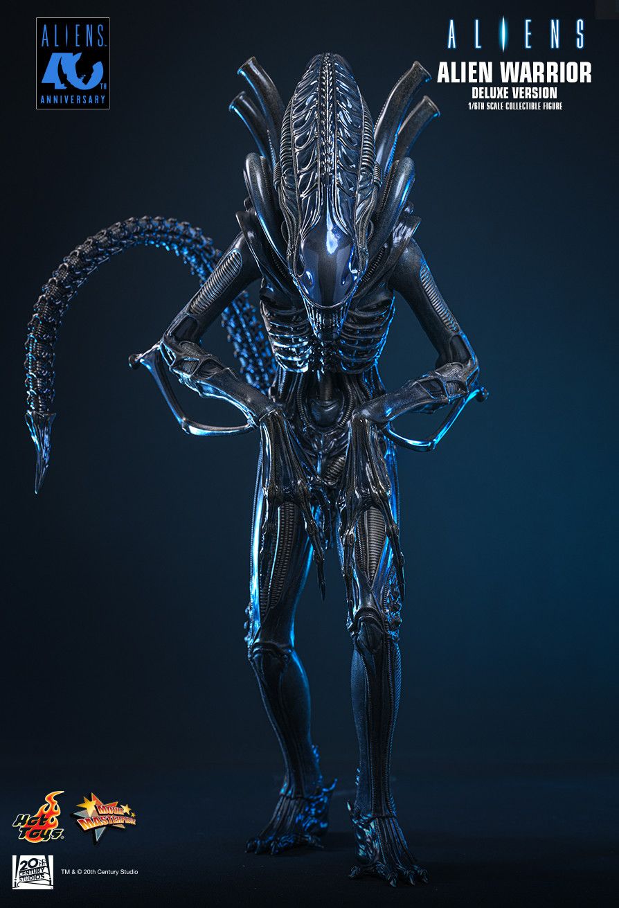 Hot Toys MMS899 - Aliens - Alien Warrior【Pre-Order】