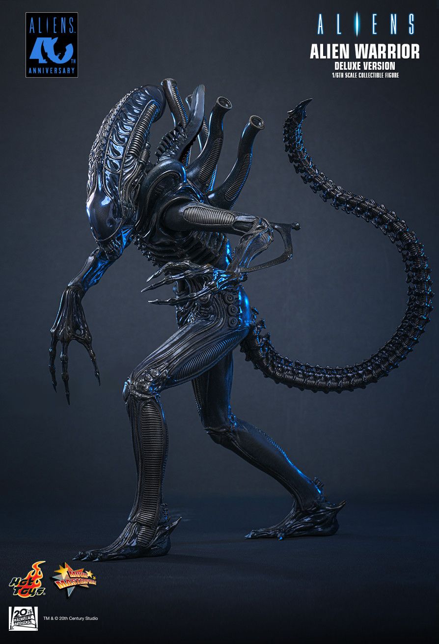 Hot Toys MMS899 - Aliens - Alien Warrior【Pre-Order】