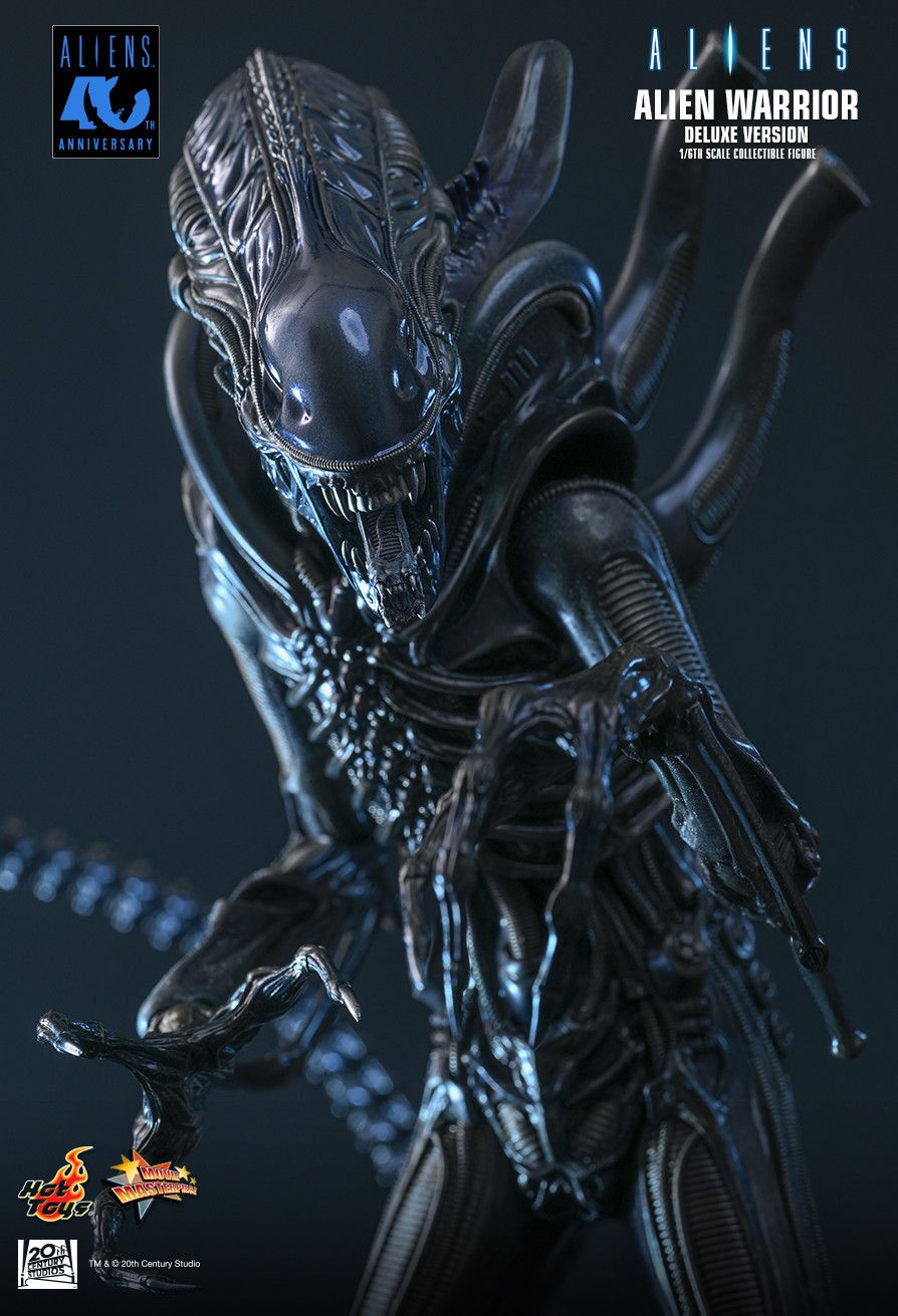 Hot Toys MMS899 - Aliens - Alien Warrior【Pre-Order】