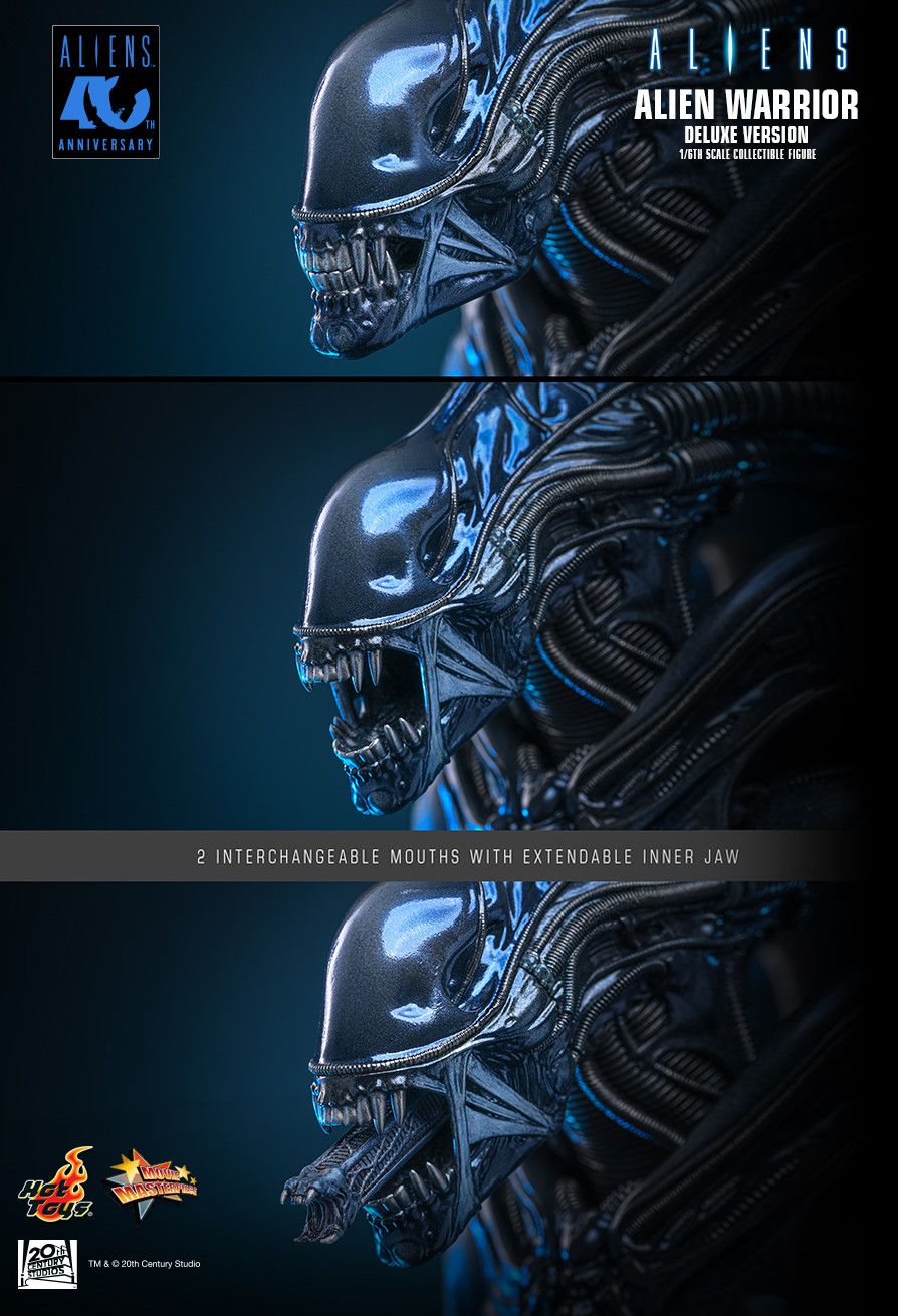 Hot Toys MMS899 - Aliens - Alien Warrior【Pre-Order】