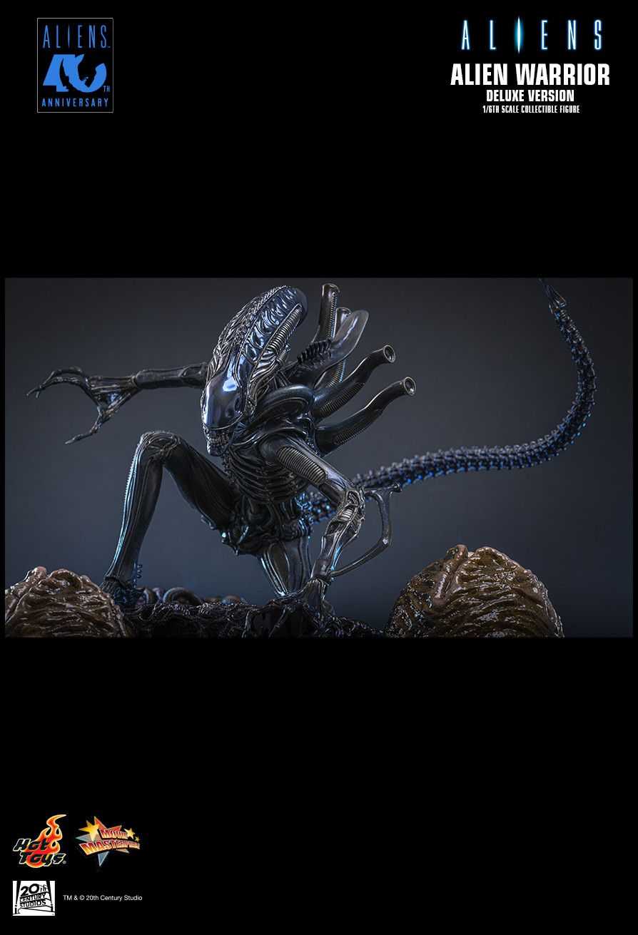 Hot Toys MMS899 - Aliens - Alien Warrior【Pre-Order】