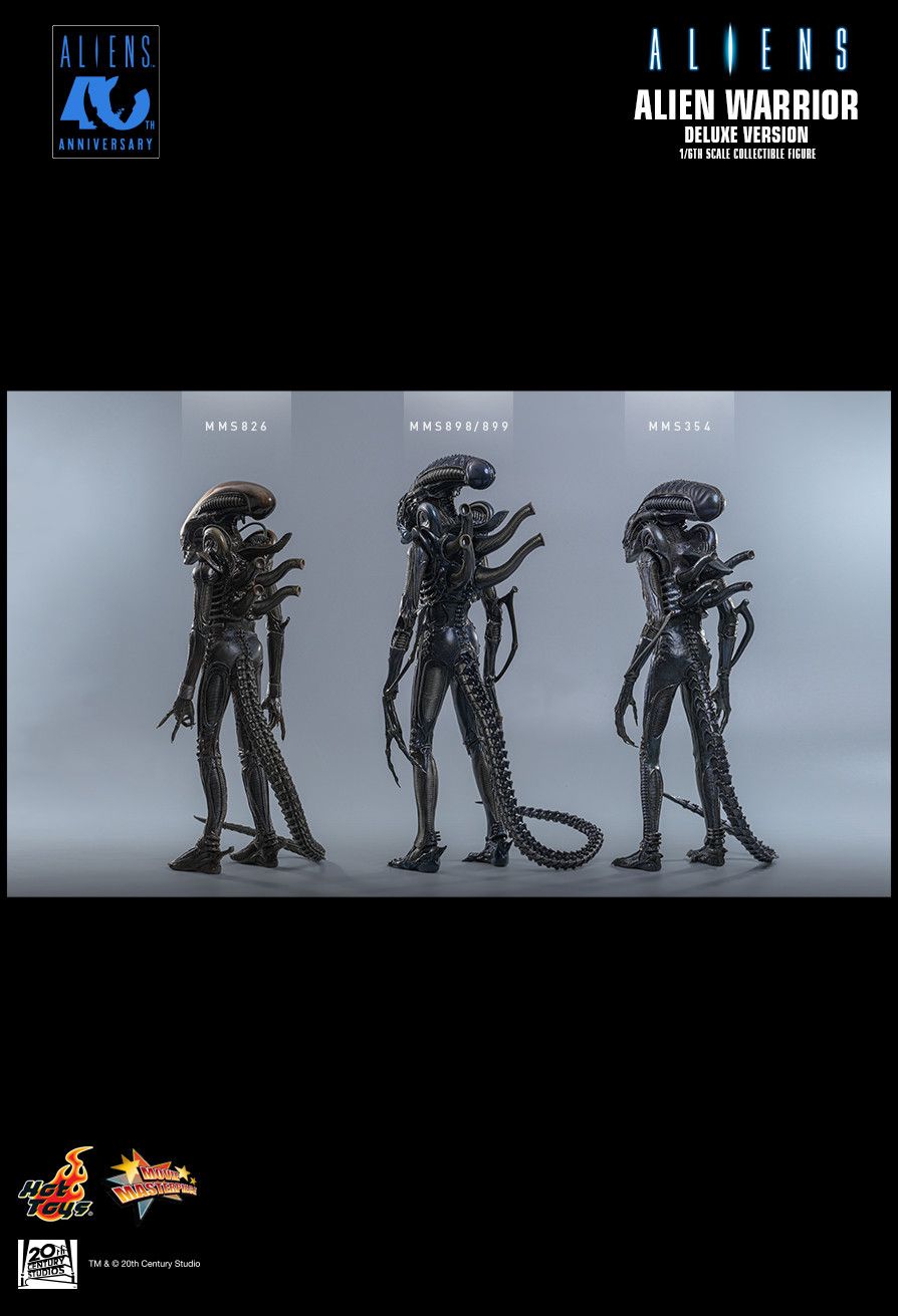 Hot Toys MMS899 - Aliens - Alien Warrior【Pre-Order】