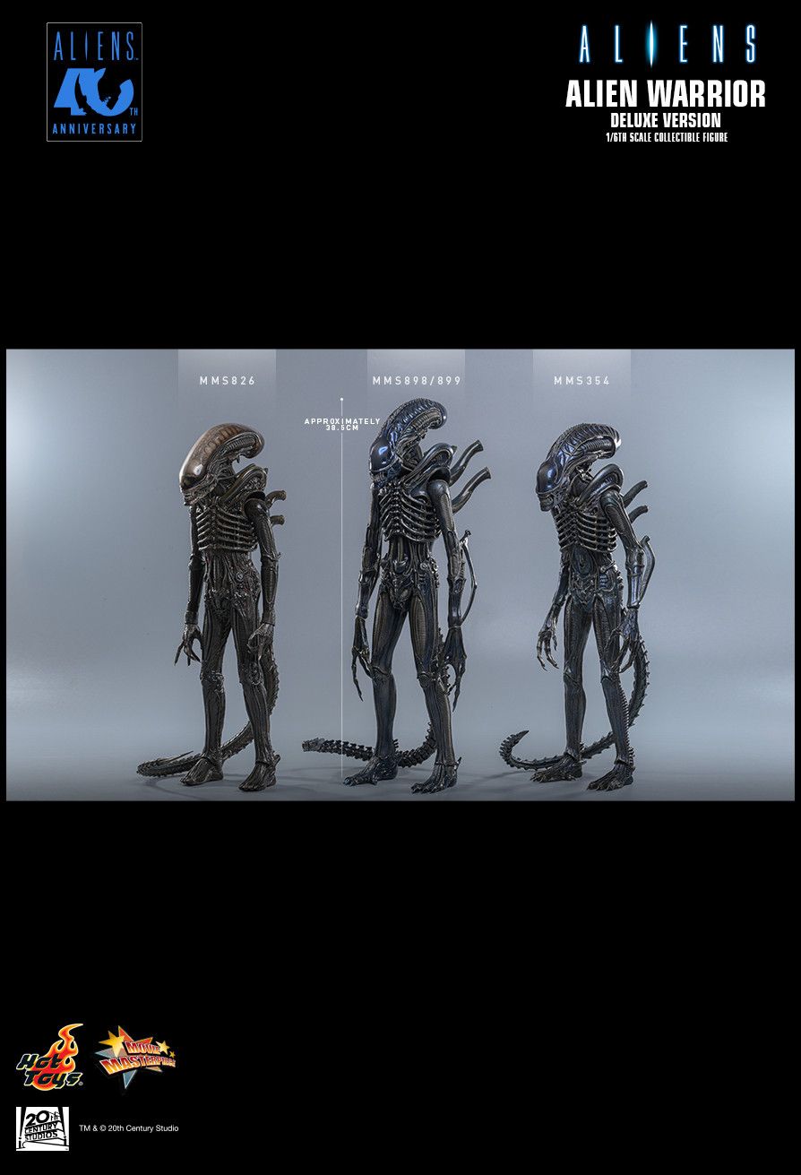 Hot Toys MMS899 - Aliens - Alien Warrior【Pre-Order】