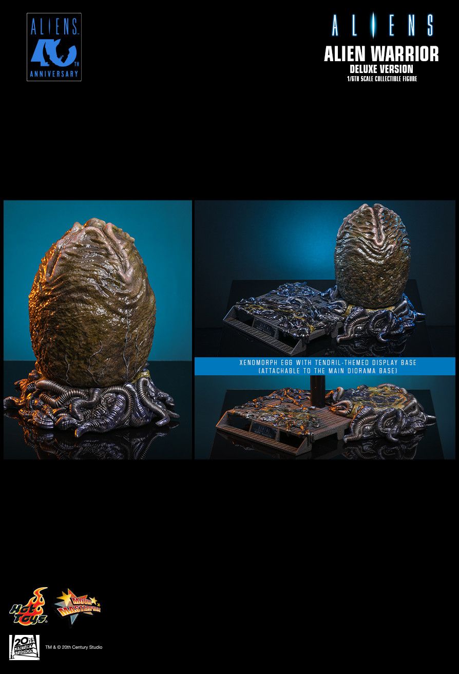 Hot Toys MMS899 - Aliens - Alien Warrior【Pre-Order】