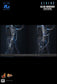 Hot Toys MMS899 - Aliens - Alien Warrior【Pre-Order】