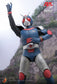 Hot Toys TMS180 - Kamen Rider Black RX - Biorider【Pre-Order】
