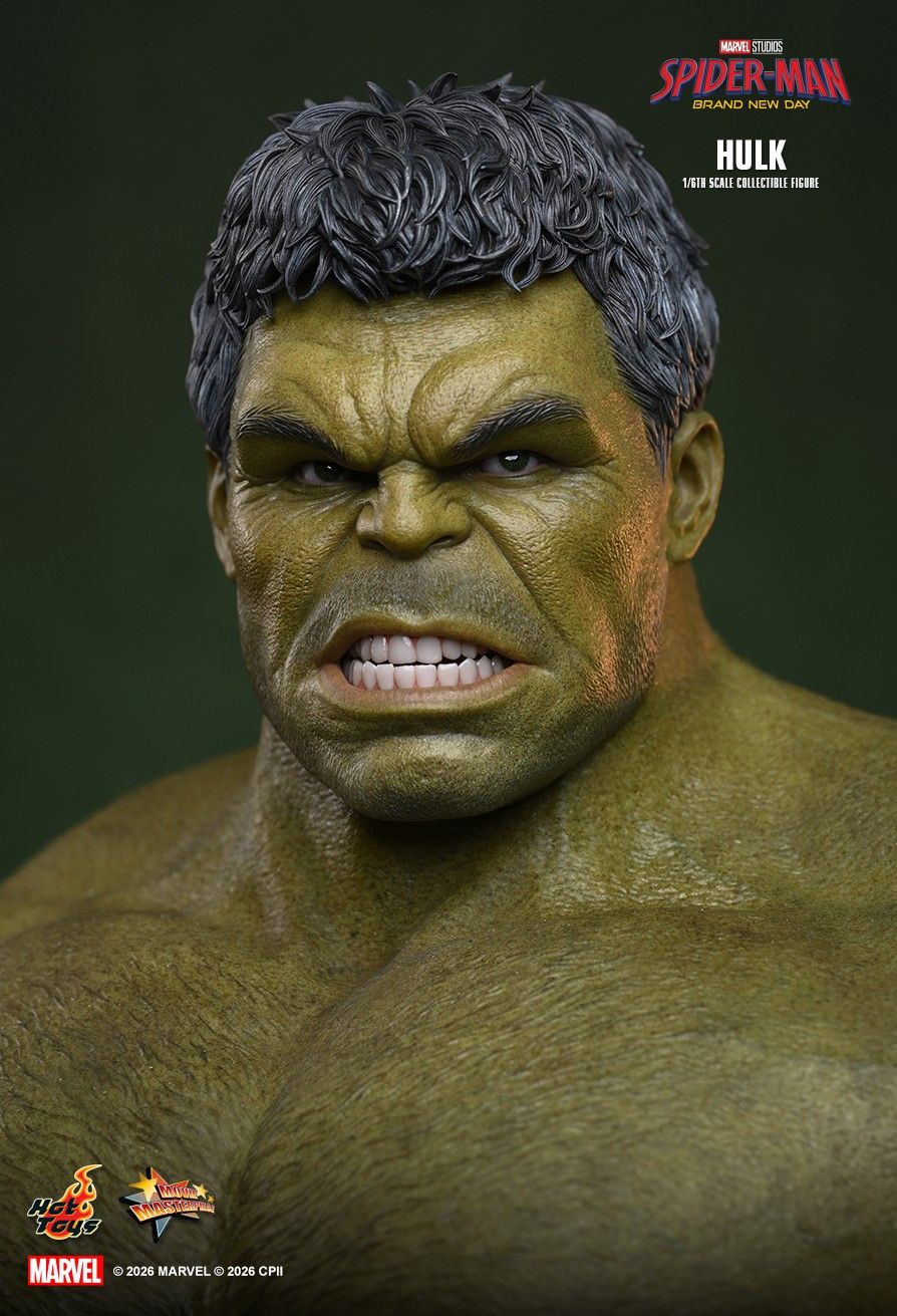 Hot Toys MMS905 - Marvel Comics - Spider Man : Brand New Day - Hulk【Pre-Order】