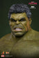 Hot Toys MMS905 - Marvel Comics - Spider Man : Brand New Day - Hulk【Pre-Order】